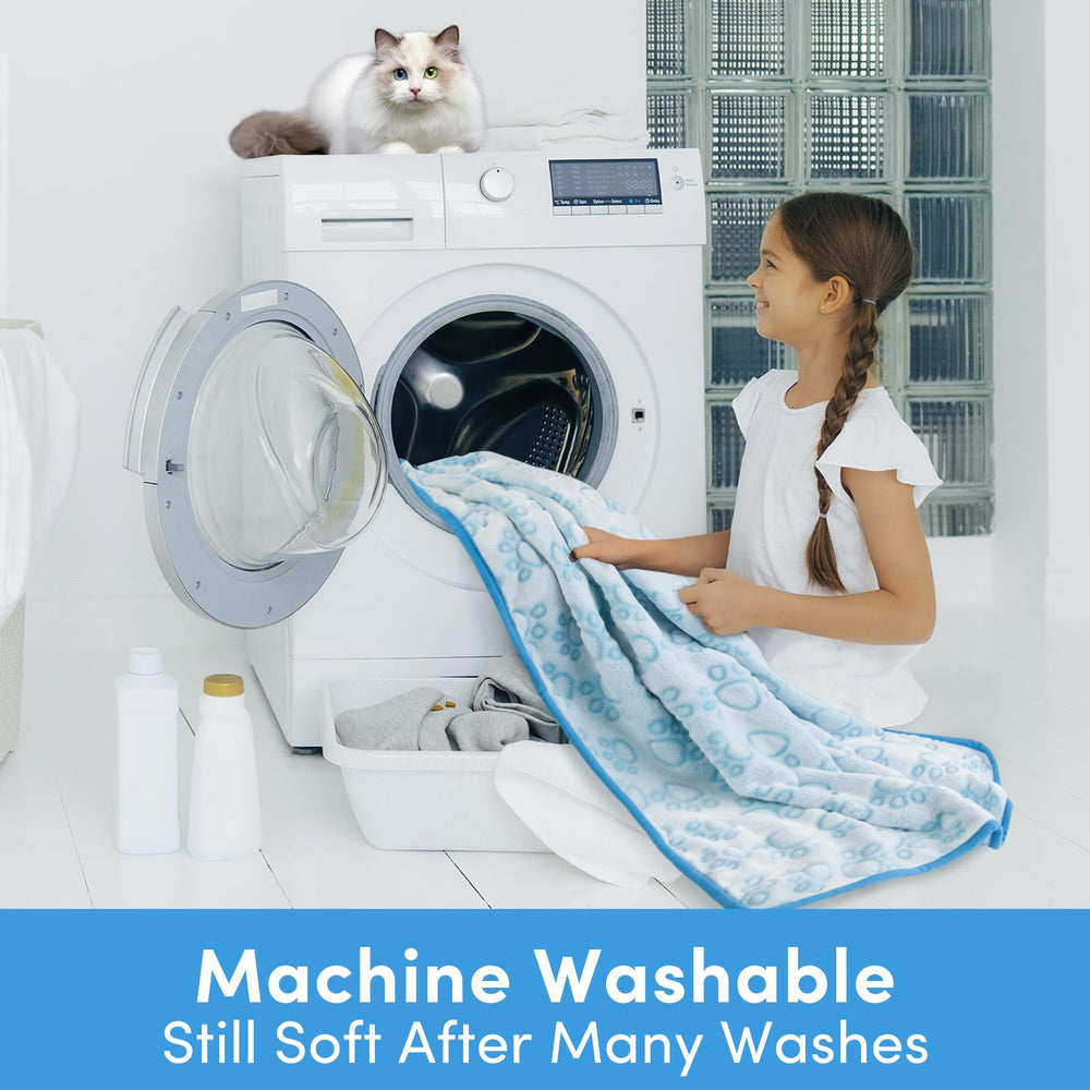 Stuffed dog blanket with gift wrap, ready as a pet gift