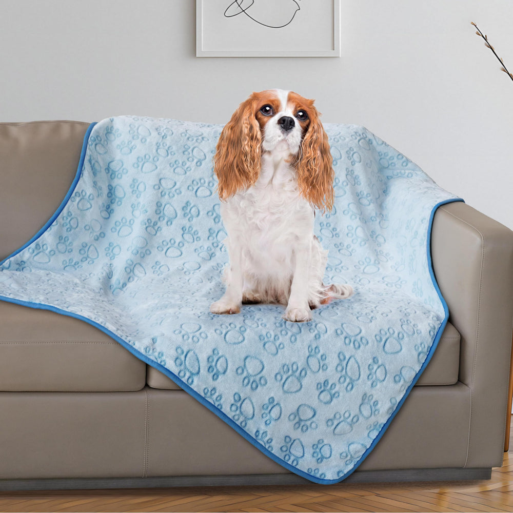 Stuffed dog blanket with paw-prints on top, cozy warmth for pets