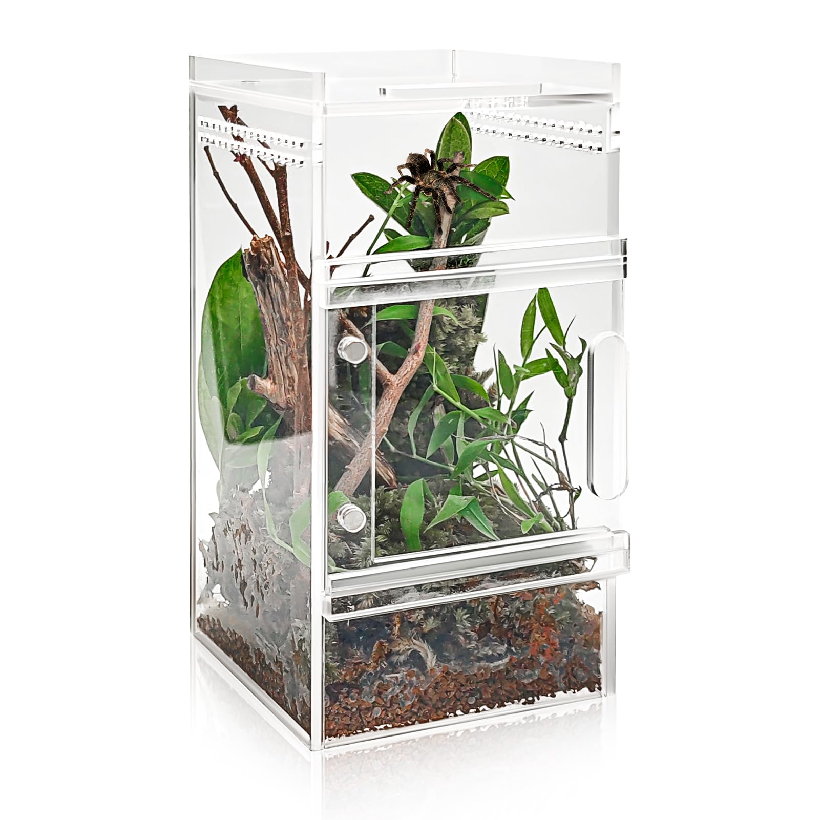 StyEdEk Jumping Spider Enclosure front view with secure doors for easy feeding.
