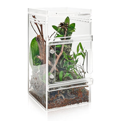 StyEdEk Jumping Spider Enclosure front view with secure doors for easy feeding.