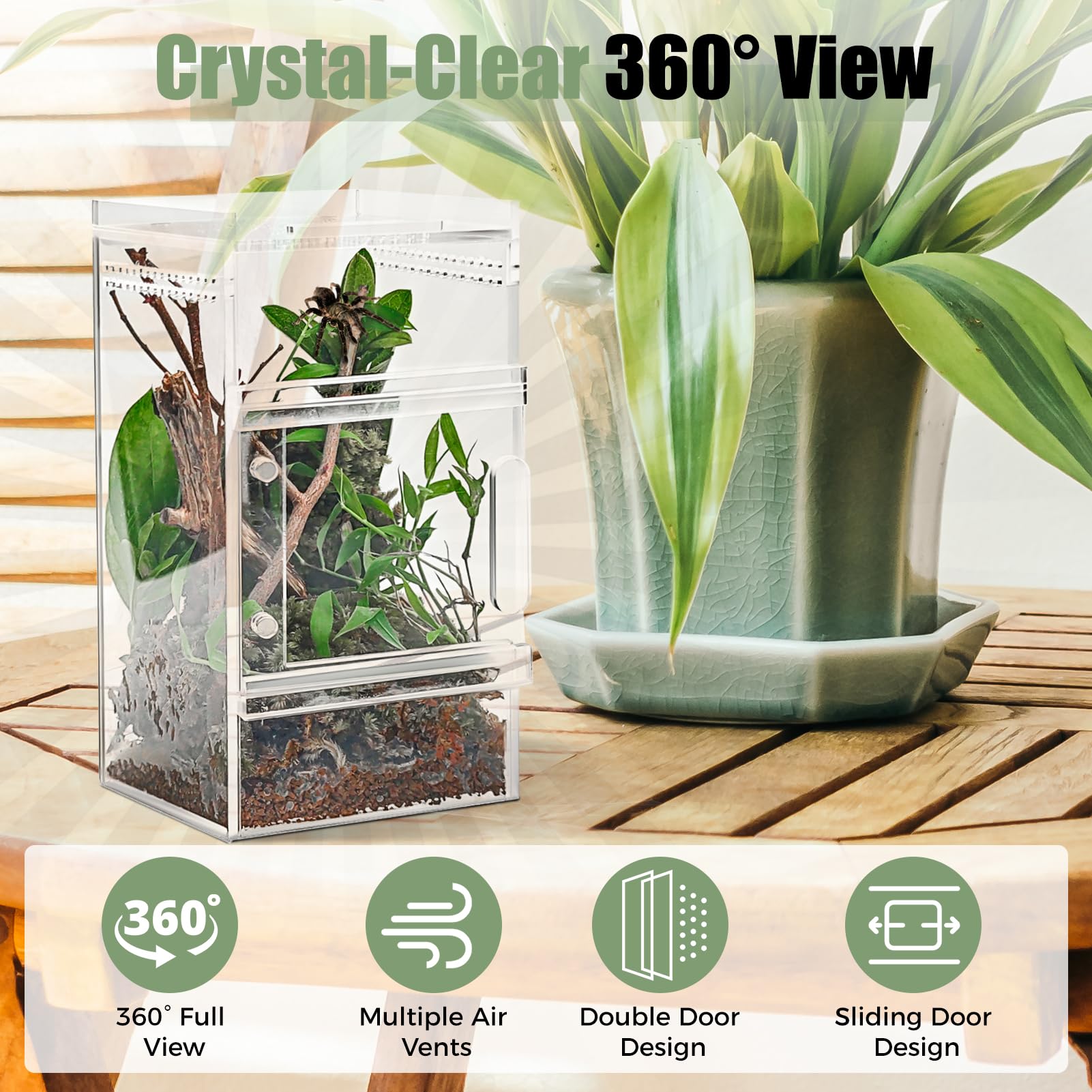 StyEdEk Jumping Spider Enclosure ready-to-use design straight out of the box.