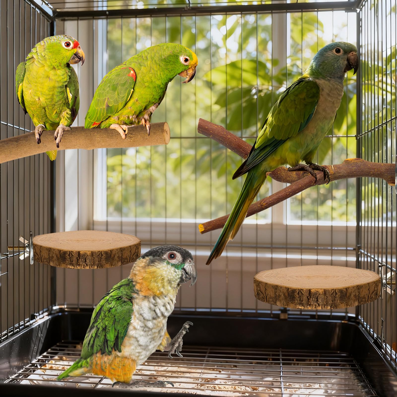 styedek natural wood perches offer durable chew-friendly surfaces for daily use
