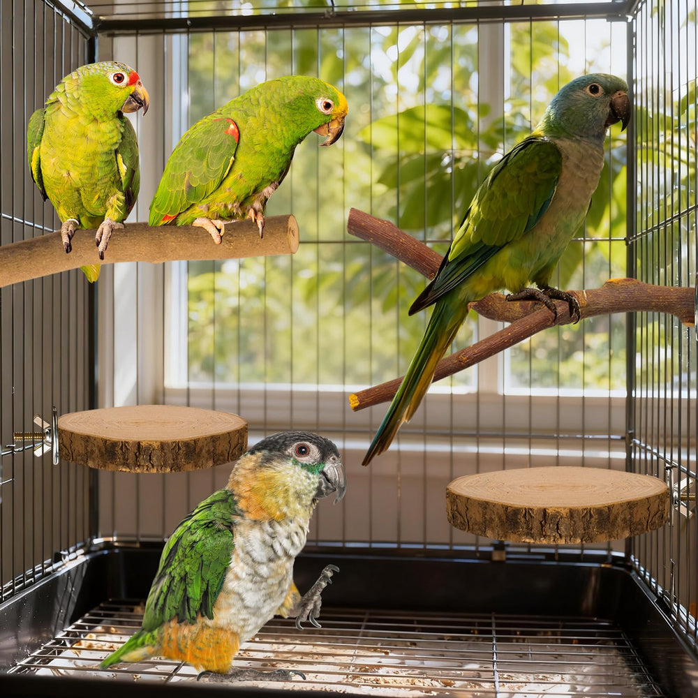 styedek natural wood perches offer durable chew-friendly surfaces for daily use