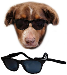 Style Vault G006 dog sunglasses front view for stylish outdoor adventures.