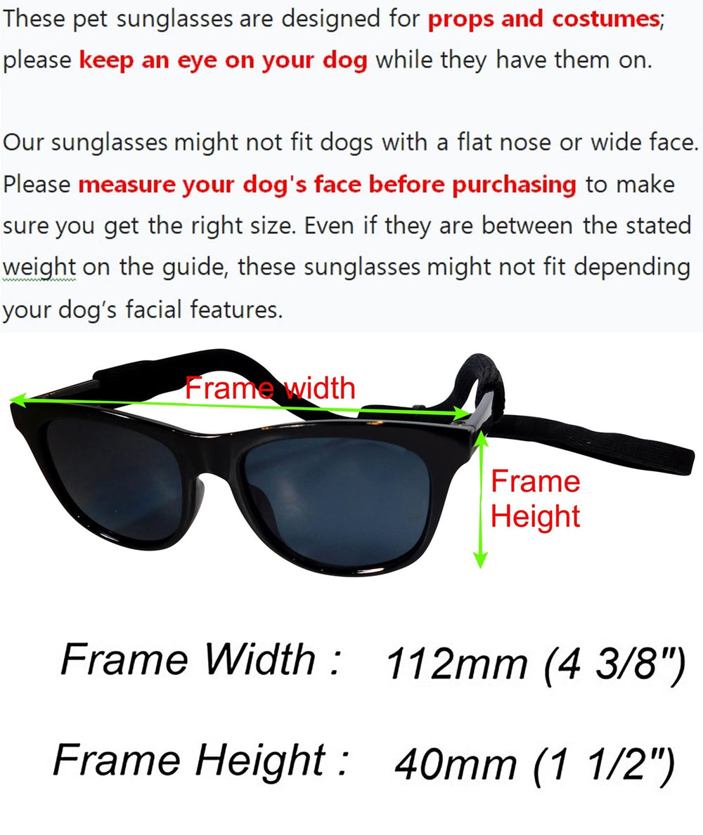 Style Vault G006 dog sunglasses on-dog during playful walk.