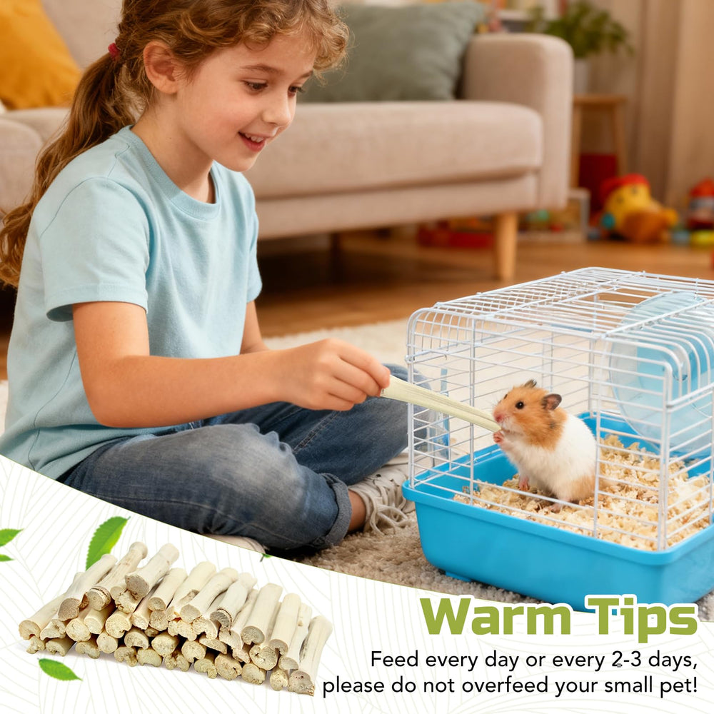 StyEdEk small-pet gnawing action encourages natural chewing habits