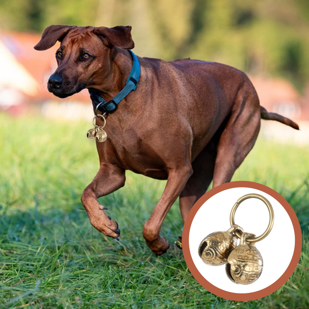 Styquenzer copper-brass bell for DIY projects and creative pet accessories.