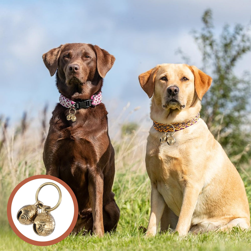 Styquenzer outdoor-pet-tracking-use bell on dog during outdoor adventures.