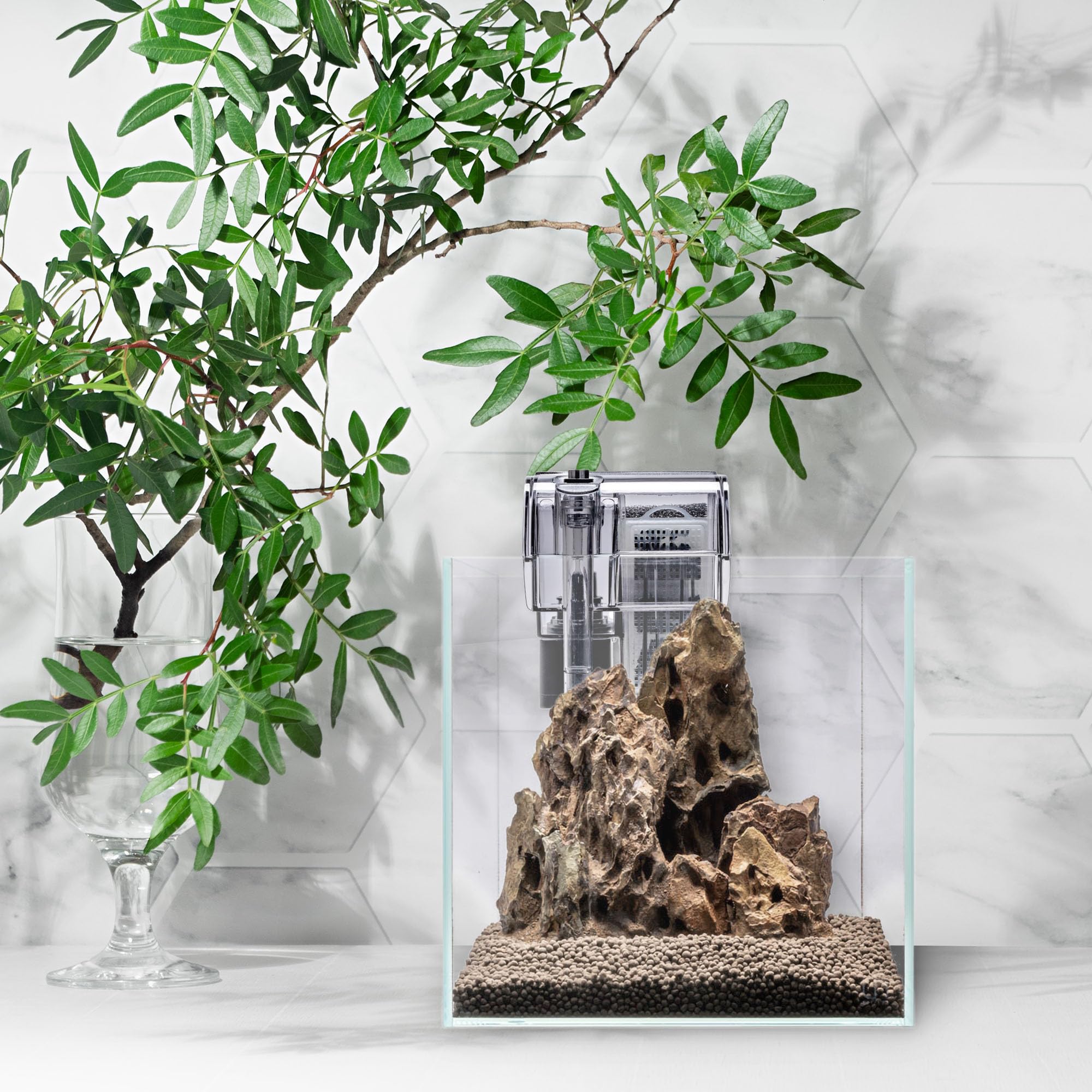 Small-tank setup with Mighty HOB demonstrates compact, energy-efficient filtration