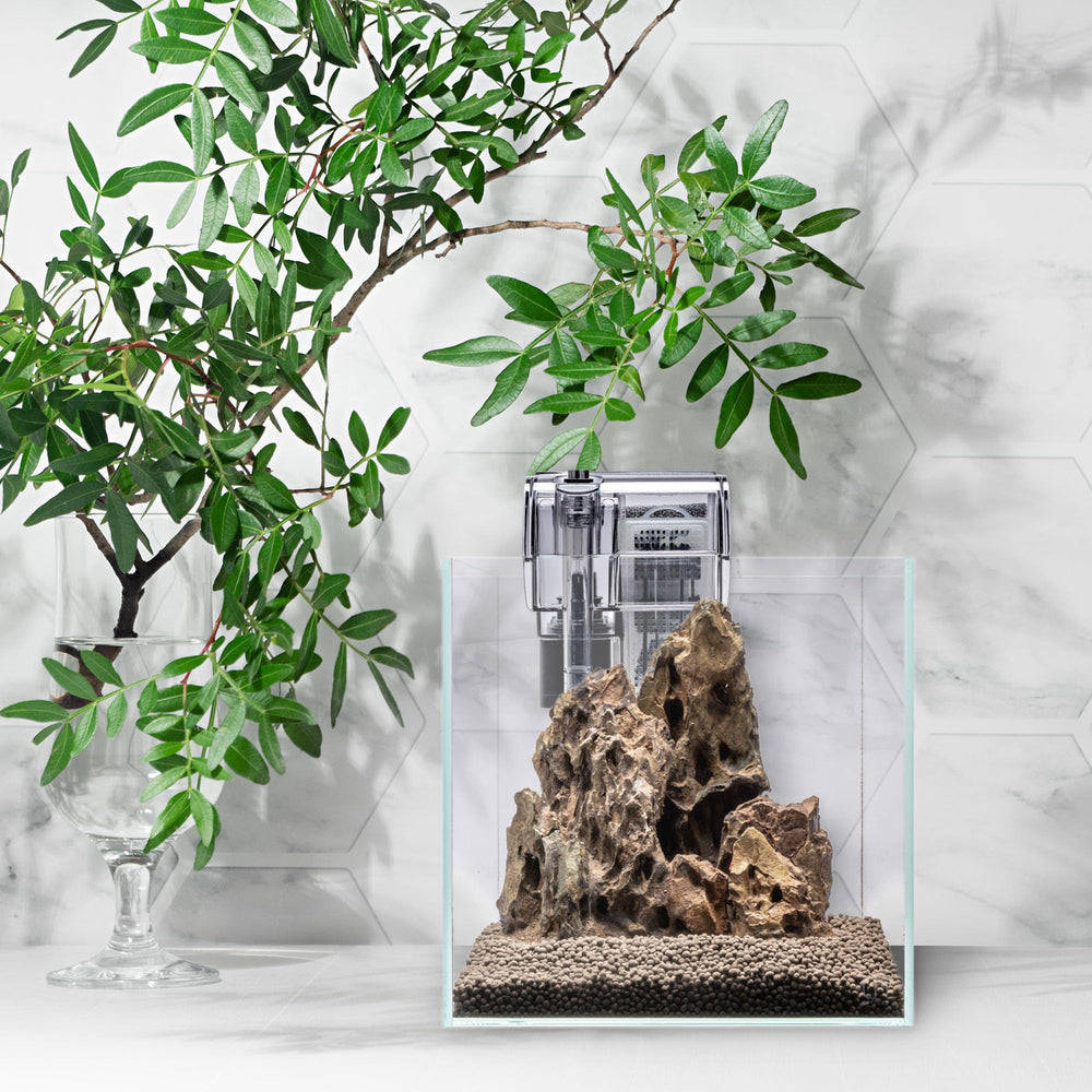 Small-tank setup with Mighty HOB demonstrates compact, energy-efficient filtration