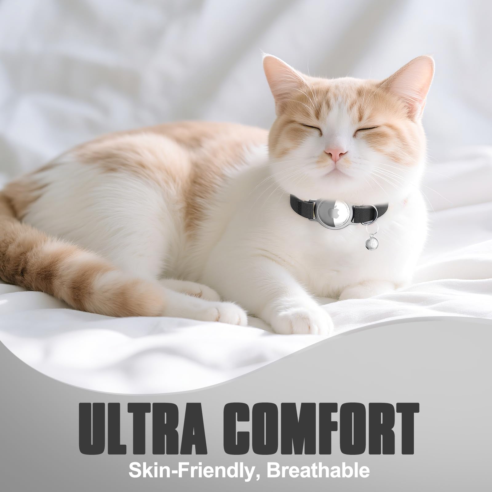 Seguridad y comodidad: collar AirTag para felinos en movimiento.