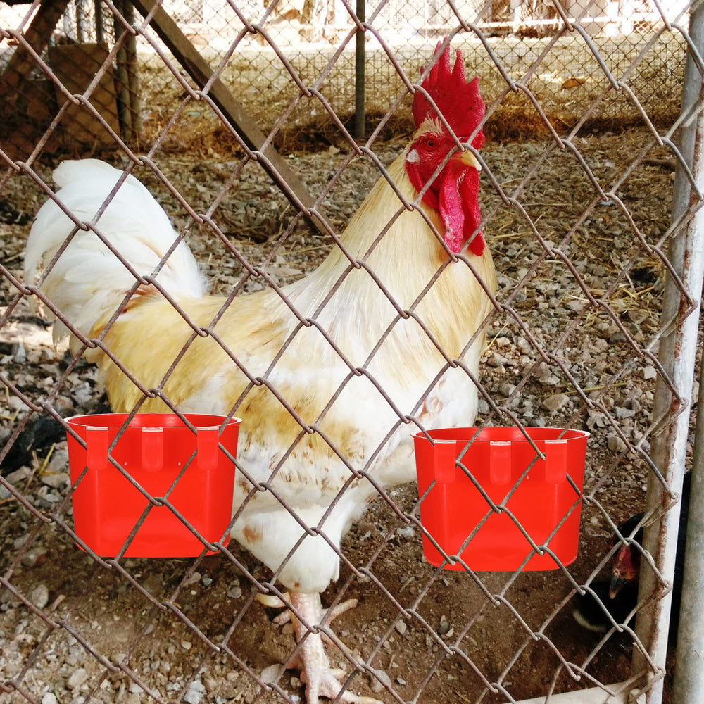 Suclain 30-pack bowls suit parrots, chickens, and small poultry animals.