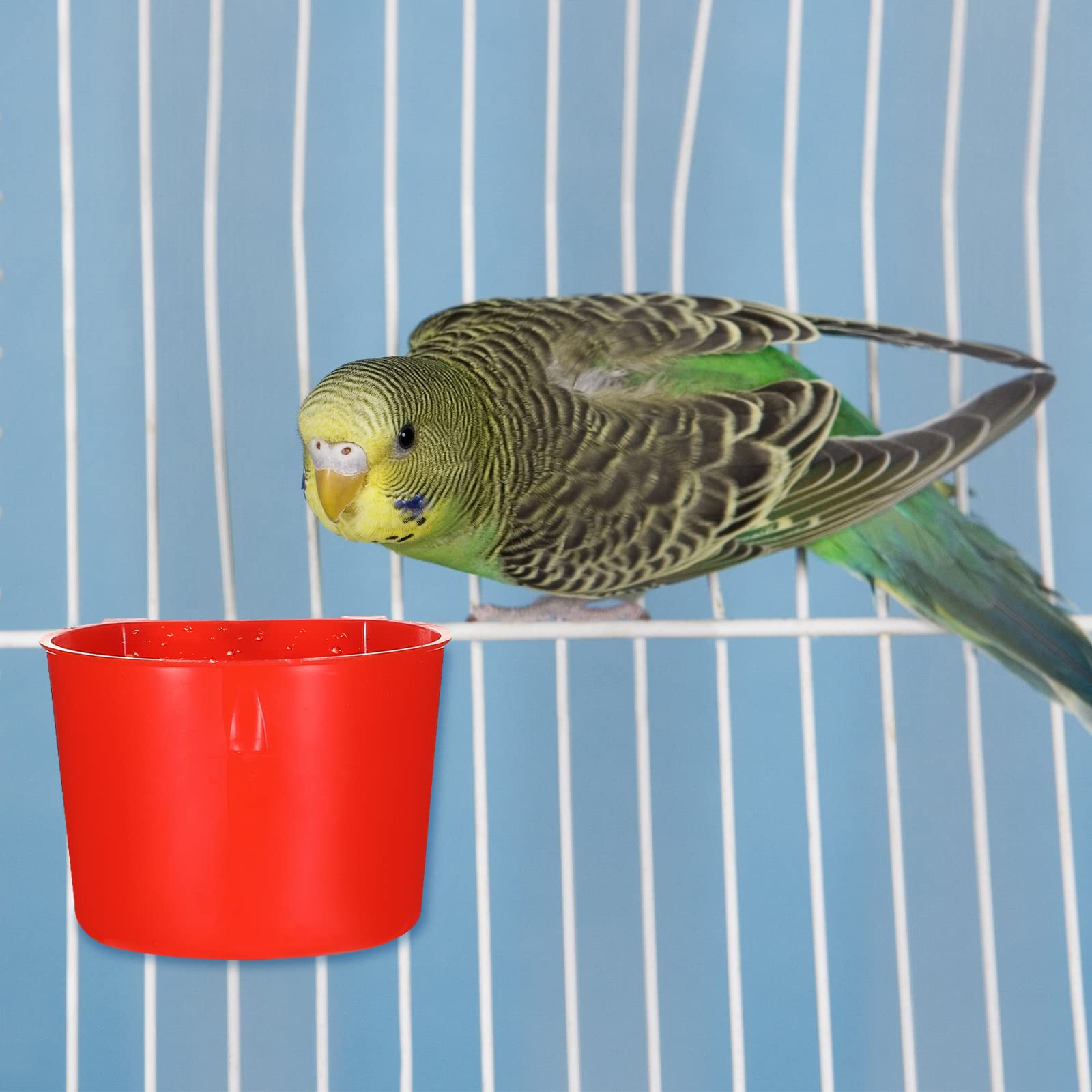 Suclain bird feeding bowls with smooth edges for safe pet use.
