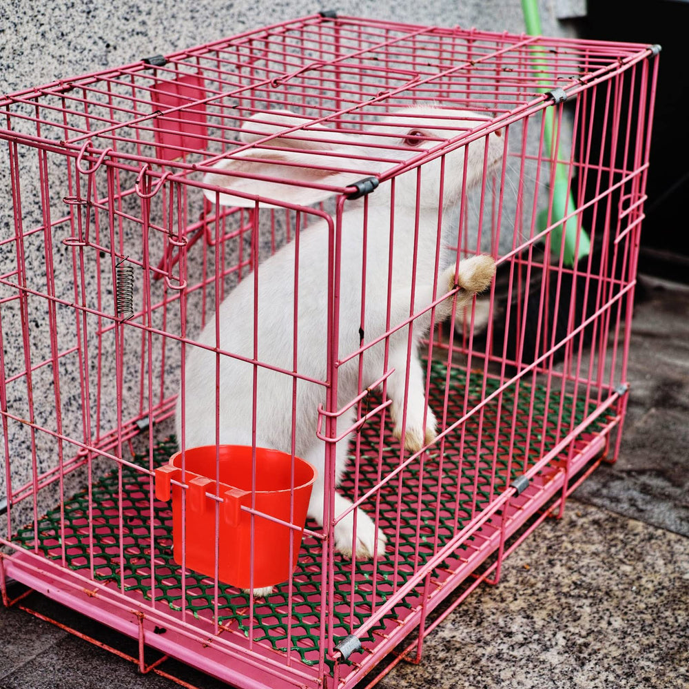 Suclain easy-clean design promotes tidier, ready-to-use coop feeding.