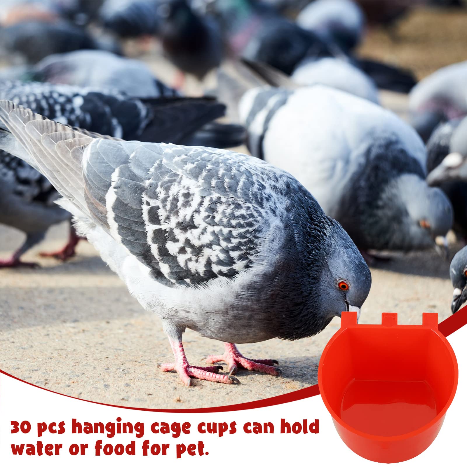 Suclain plastic seed bowls provide durable, reusable feeding options.