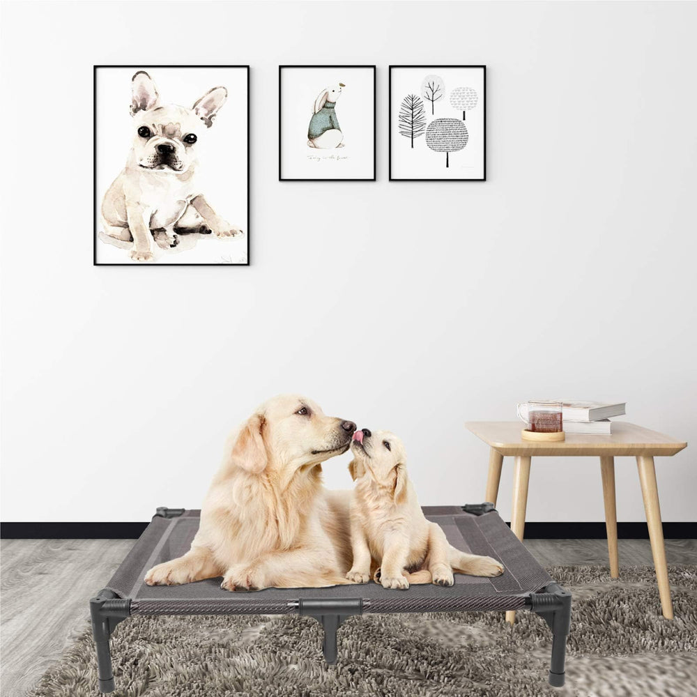 suddus elevated dog bed durable material suitable for patio use and frequent setup