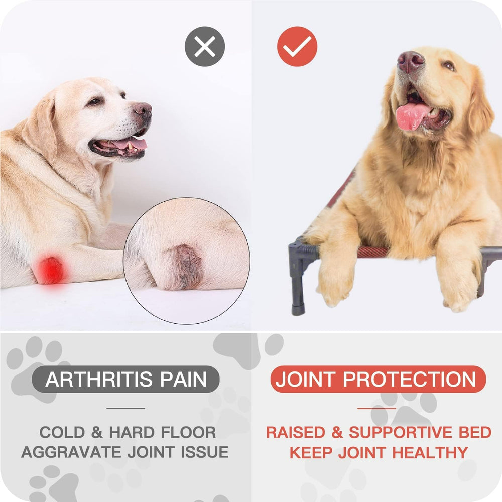 suddus elevated dog bed large size accommodates bigger dogs during rest