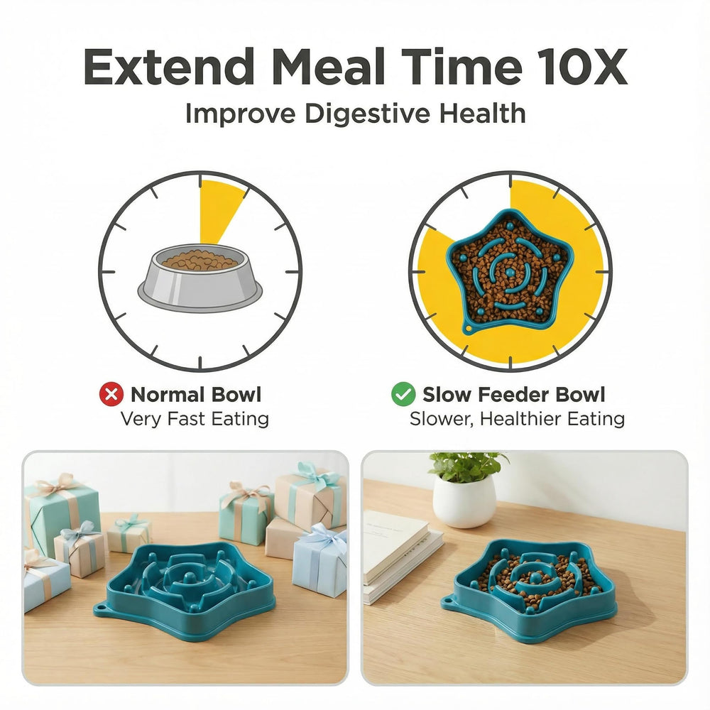 Sufisat Pet Slow Feeder Bowl 350ml capacity suits small-breed portions