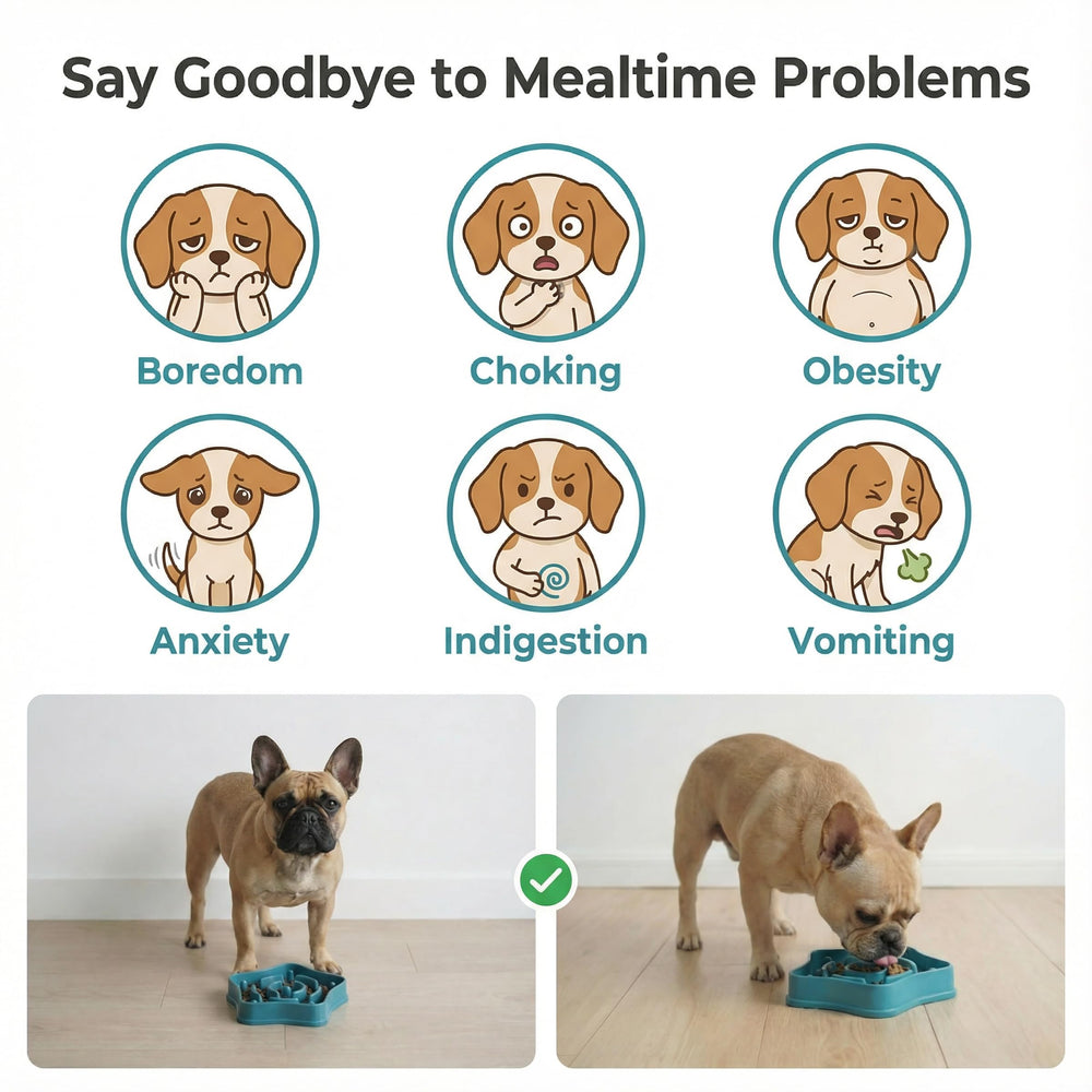 Sufisat Pet Slow Feeder Bowl easy-clean surface simplifies post-meal cleanup