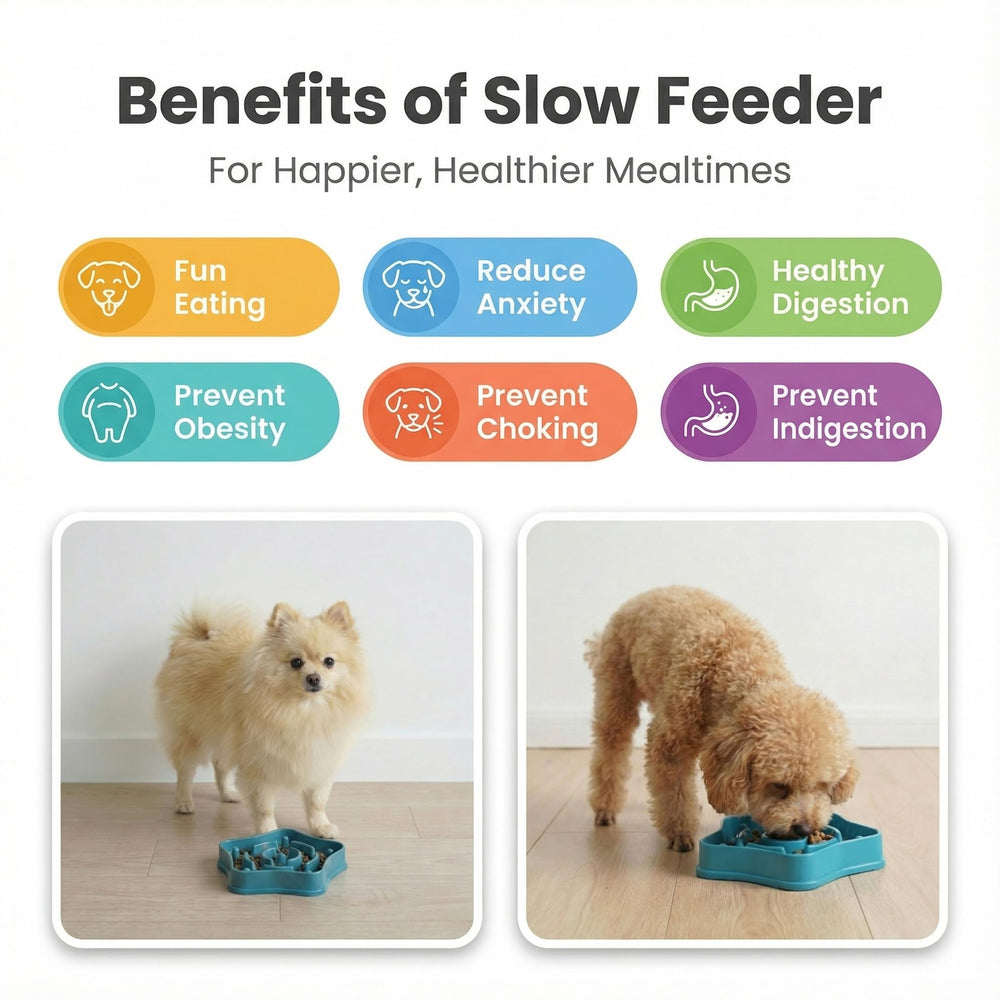 Sufisat Pet Slow Feeder Bowl hanging hole for quick drying and storage