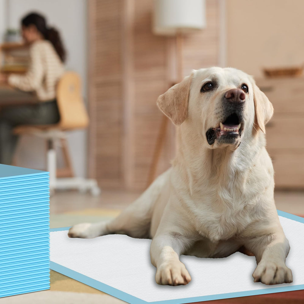 Suguning pad doubles as car travel mat protecting upholstery during trips.