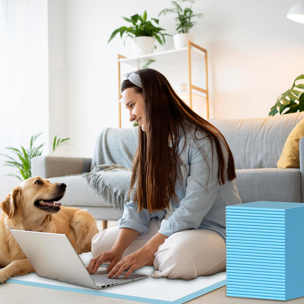 Suguning pads support cat training and travel needs at home.