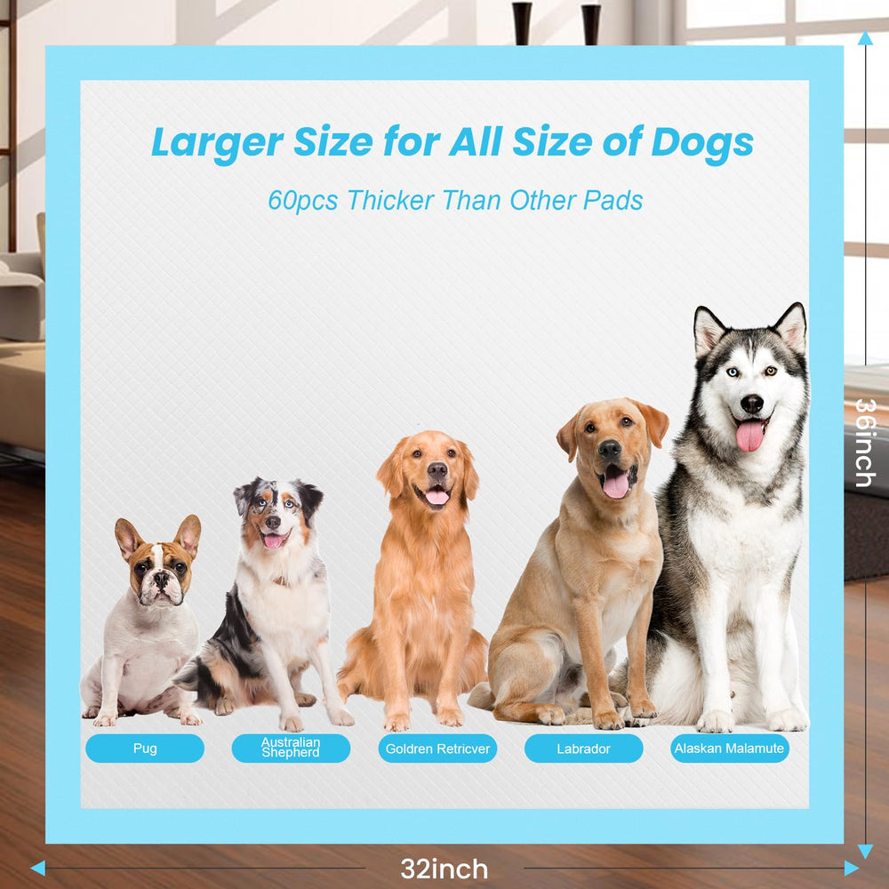 Suguning extra-large pad is ideal for dog training and aging pets.