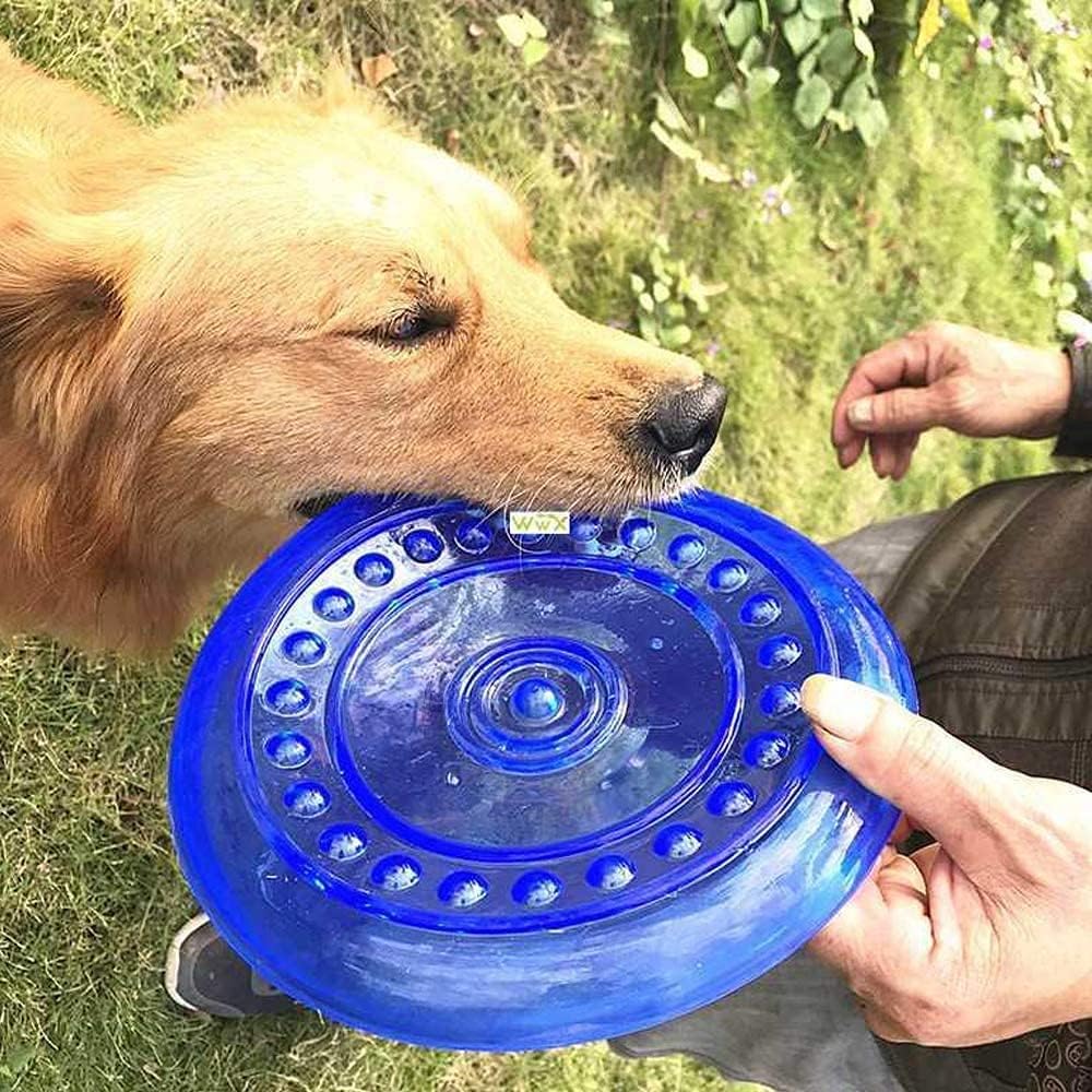 SUHEEUS 2-pack dog discs, ready for training and play sessions.