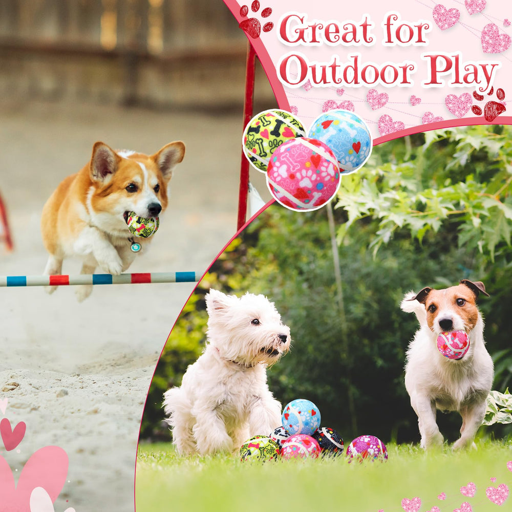 Suilung squeaky ball ideal for indoors and outdoors fetch and training