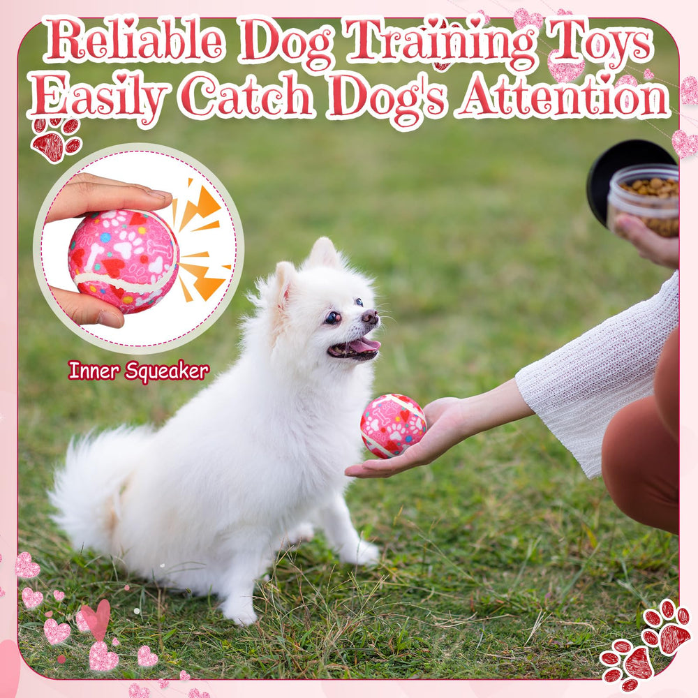 Suilung 36-piece squeaky ball pack for varied play sessions