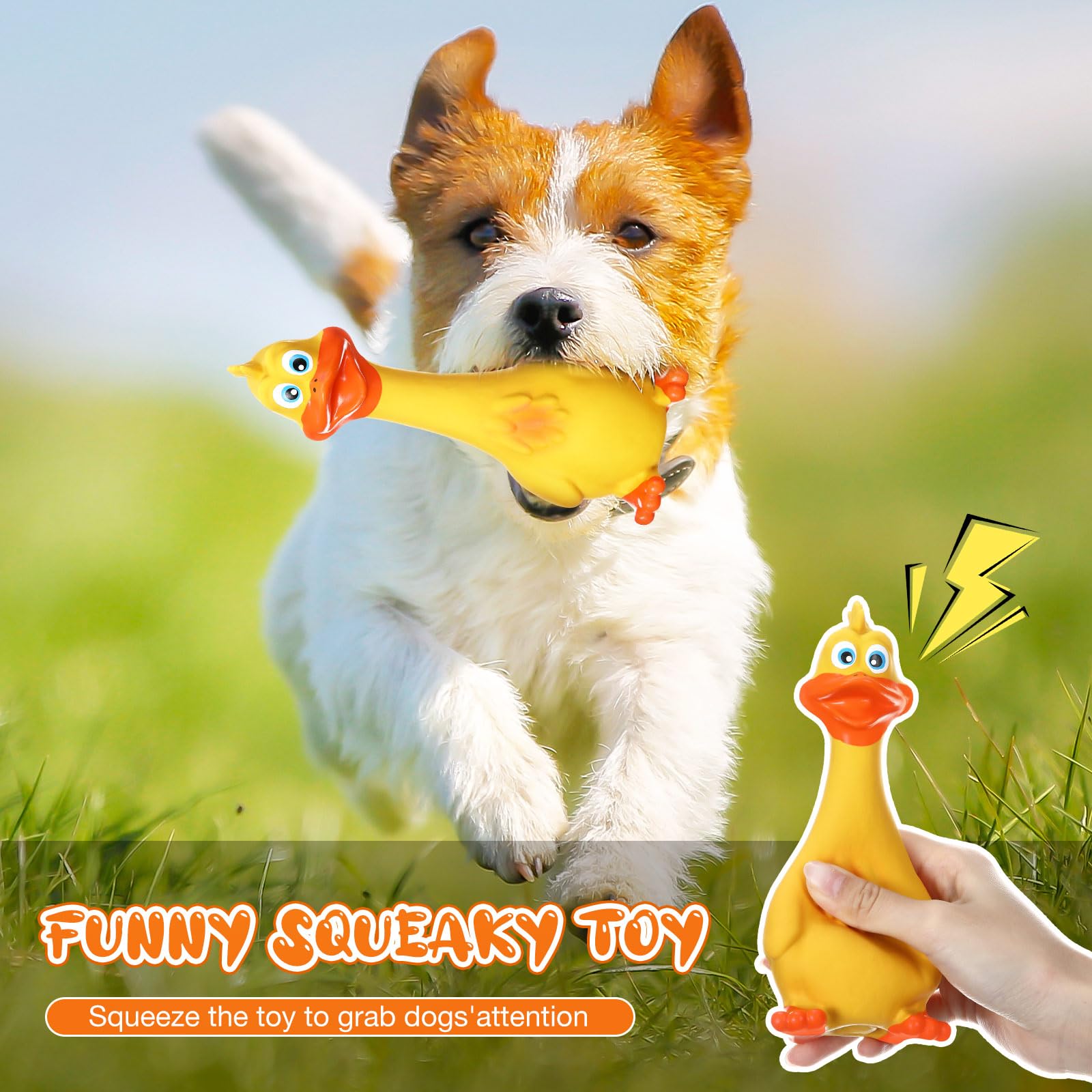 Suilung bright colors dog toy duck and chicken for visual stimulation.