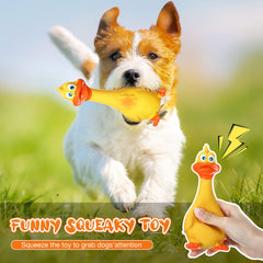 Suilung bright colors dog toy duck and chicken for visual stimulation.