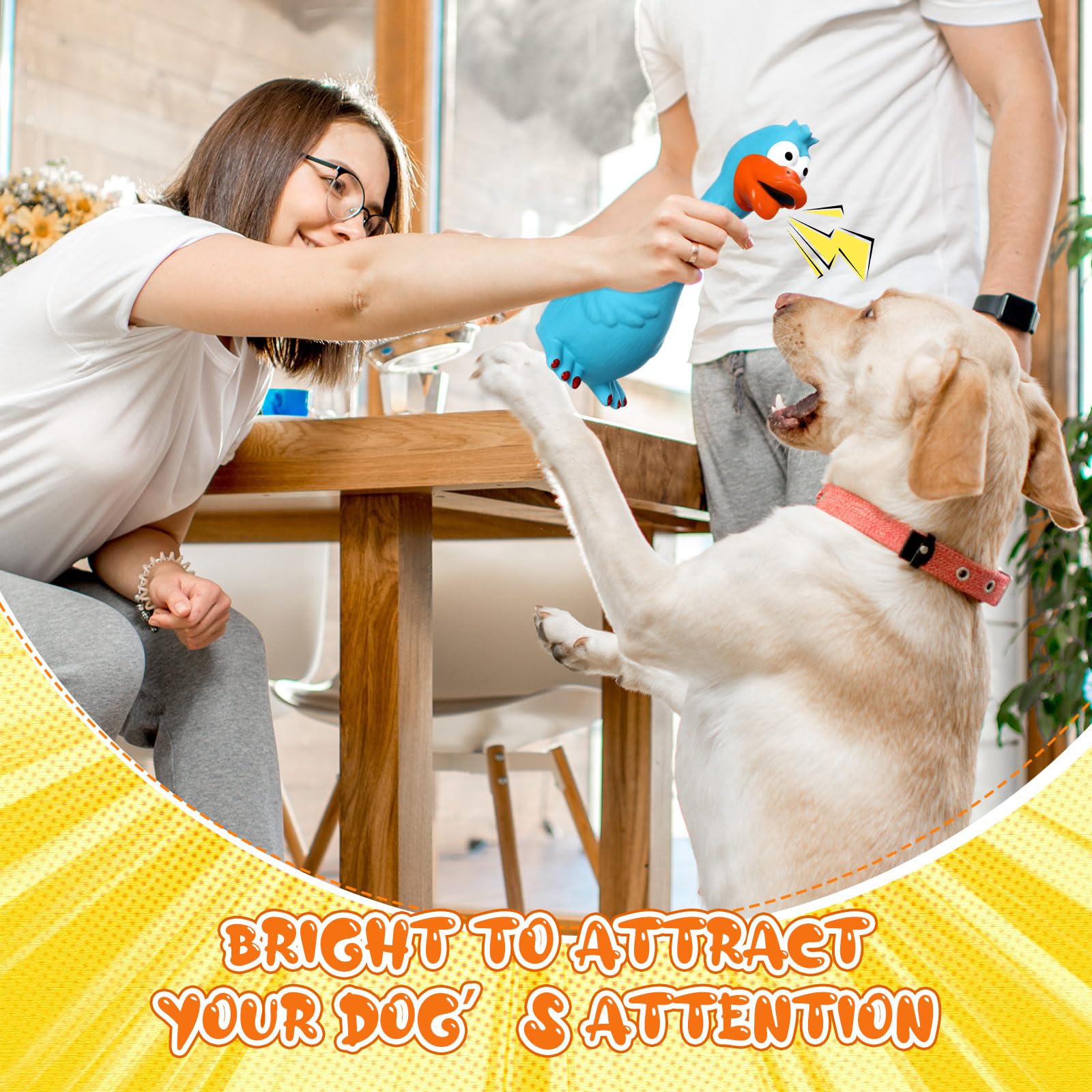 Suilung Christmas latex squeaky chicken toy pack for interactive play and anxiety relief.