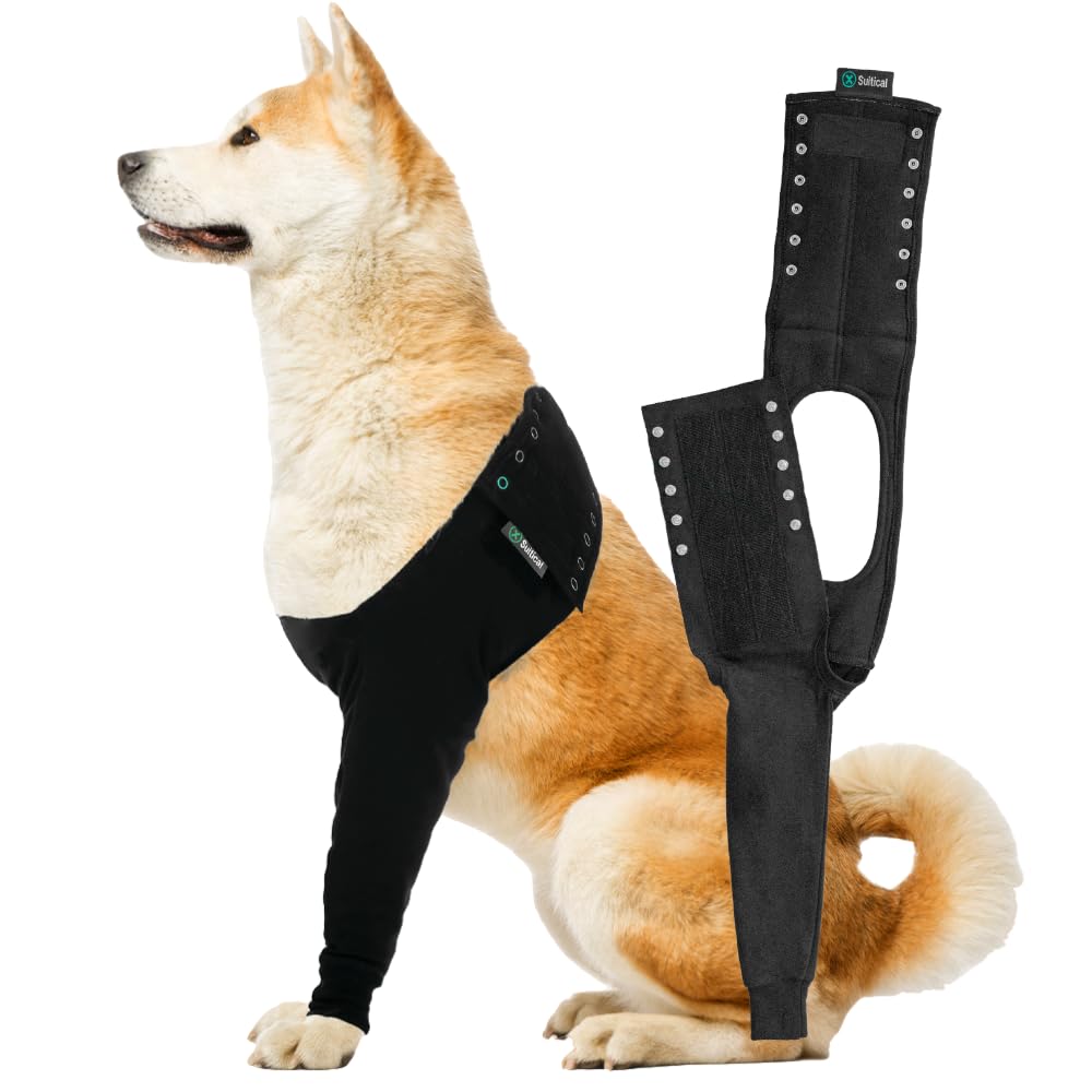 Suitical Recovery Sleeve front-leg on a dog, protecting wounds while allowing movement