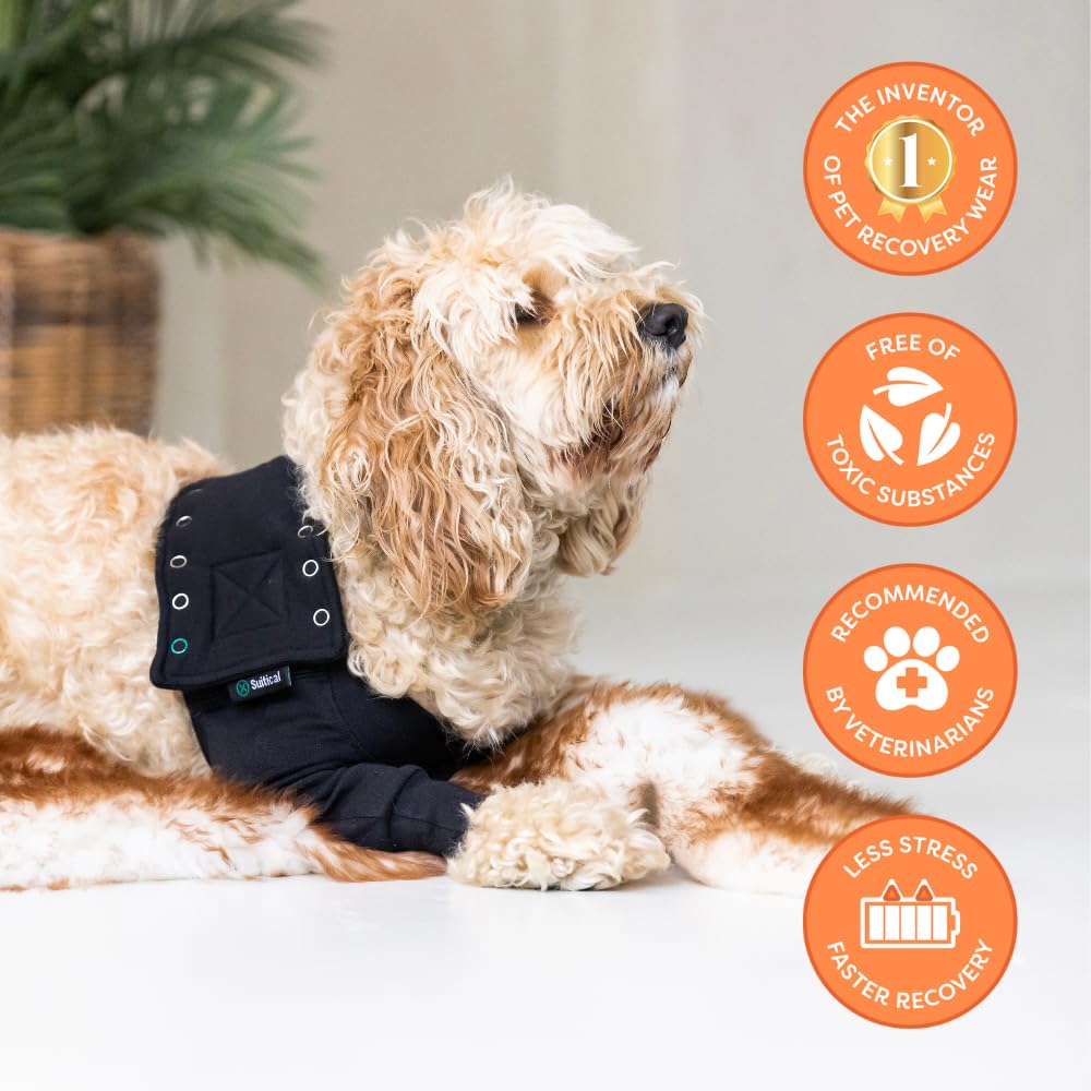 Suitical sleeve designed with veterinarians for practical pet care