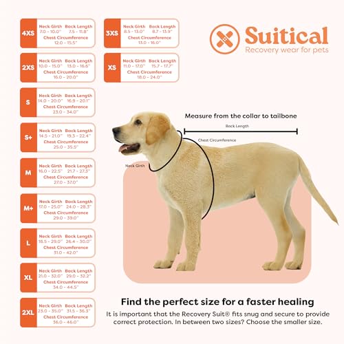 Suitical Recovery Suit care-ready design supports easy laundry and reuse