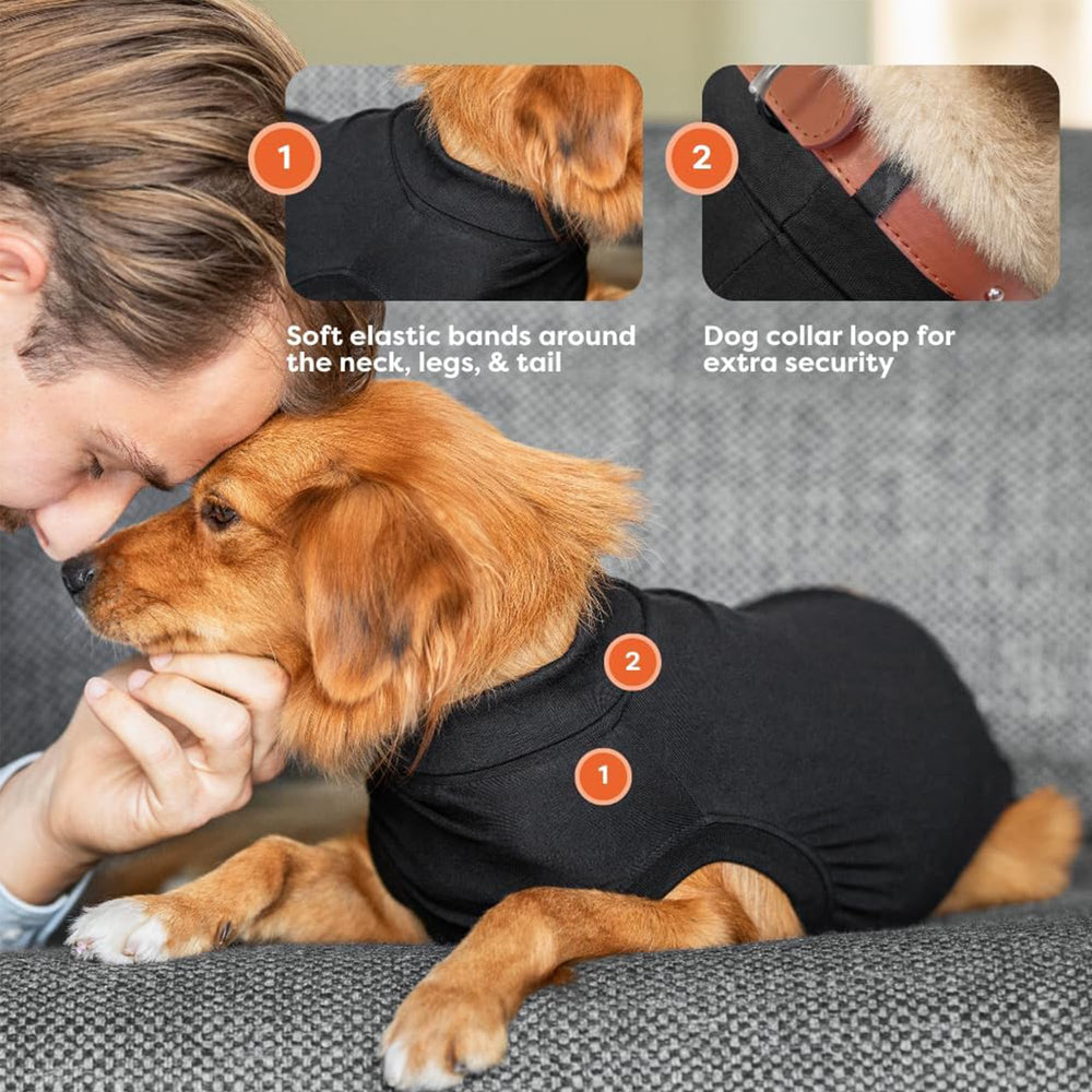 Suitical Recovery Suit clip-up system closeup highlights easy walks and potty breaks