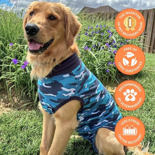 Suitical dog wearing blue camouflage suit resting comfortably