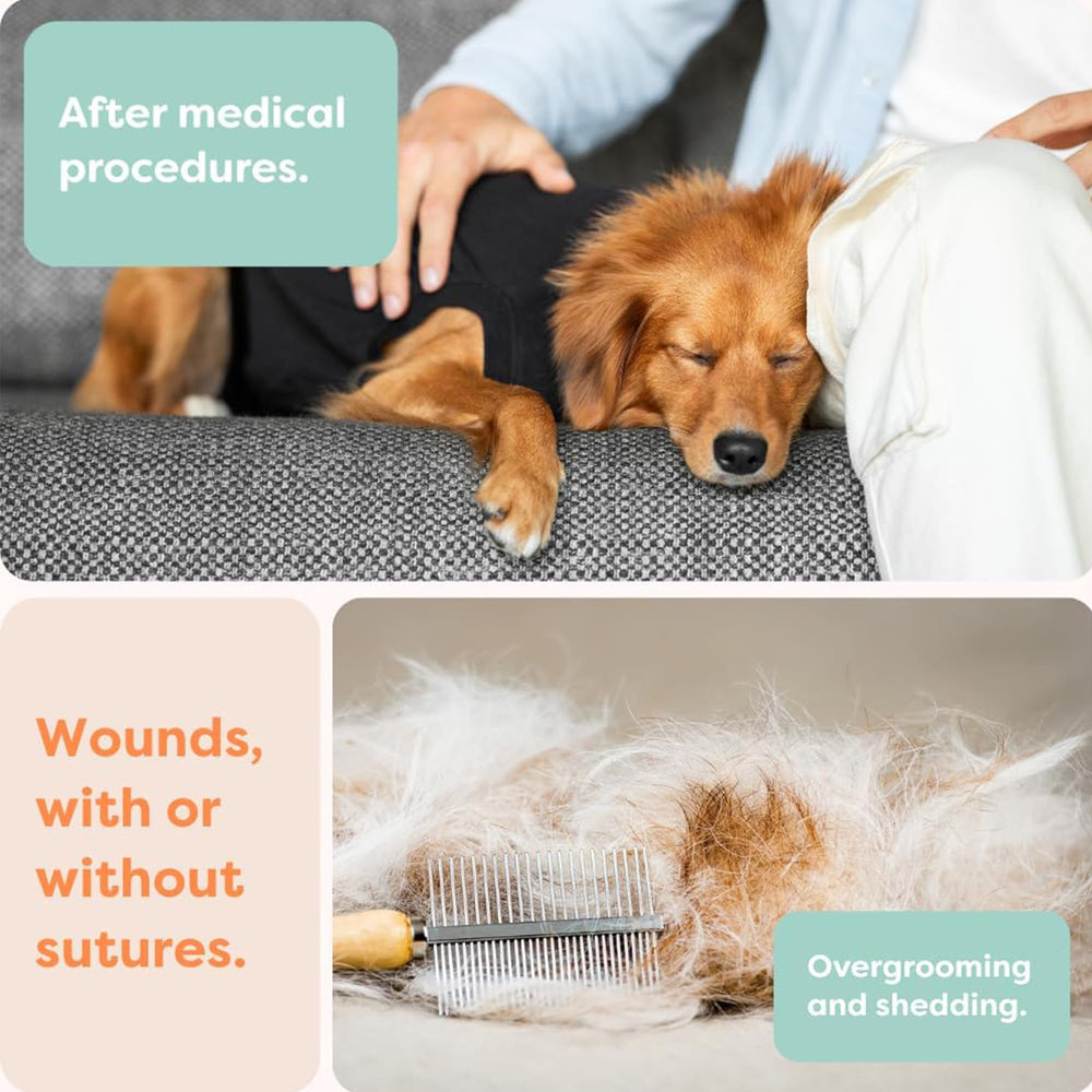 Suitical neck-to-chest area detail demonstrates secure coverage