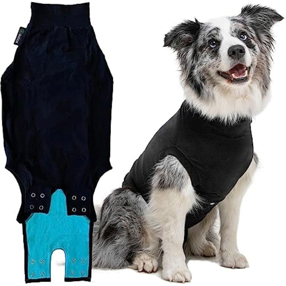 Suitical Recovery Suit for Dogs worn by a calm dog for post-surgery comfort