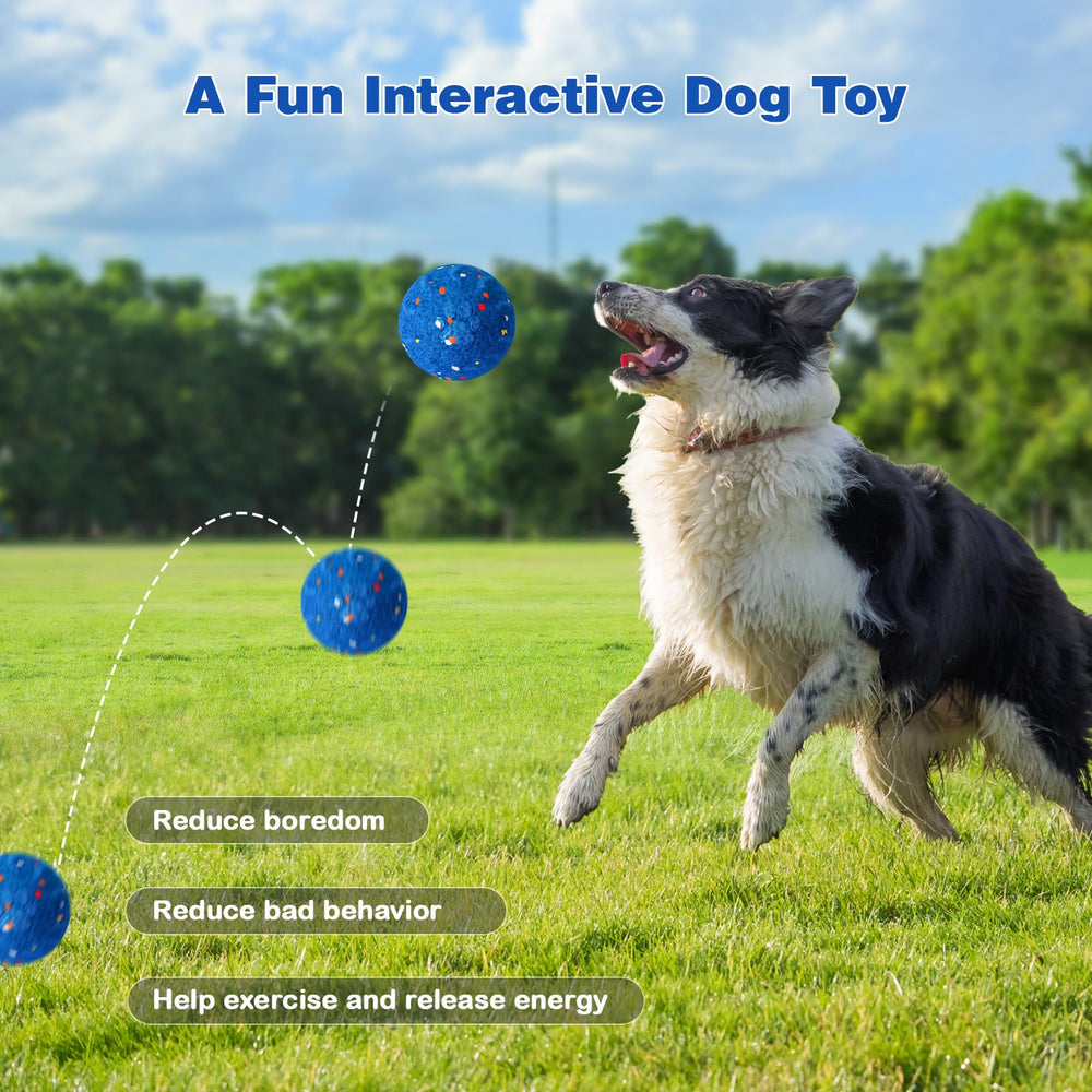 SUJF interactive dog ball top view reveals compact design for indoors
