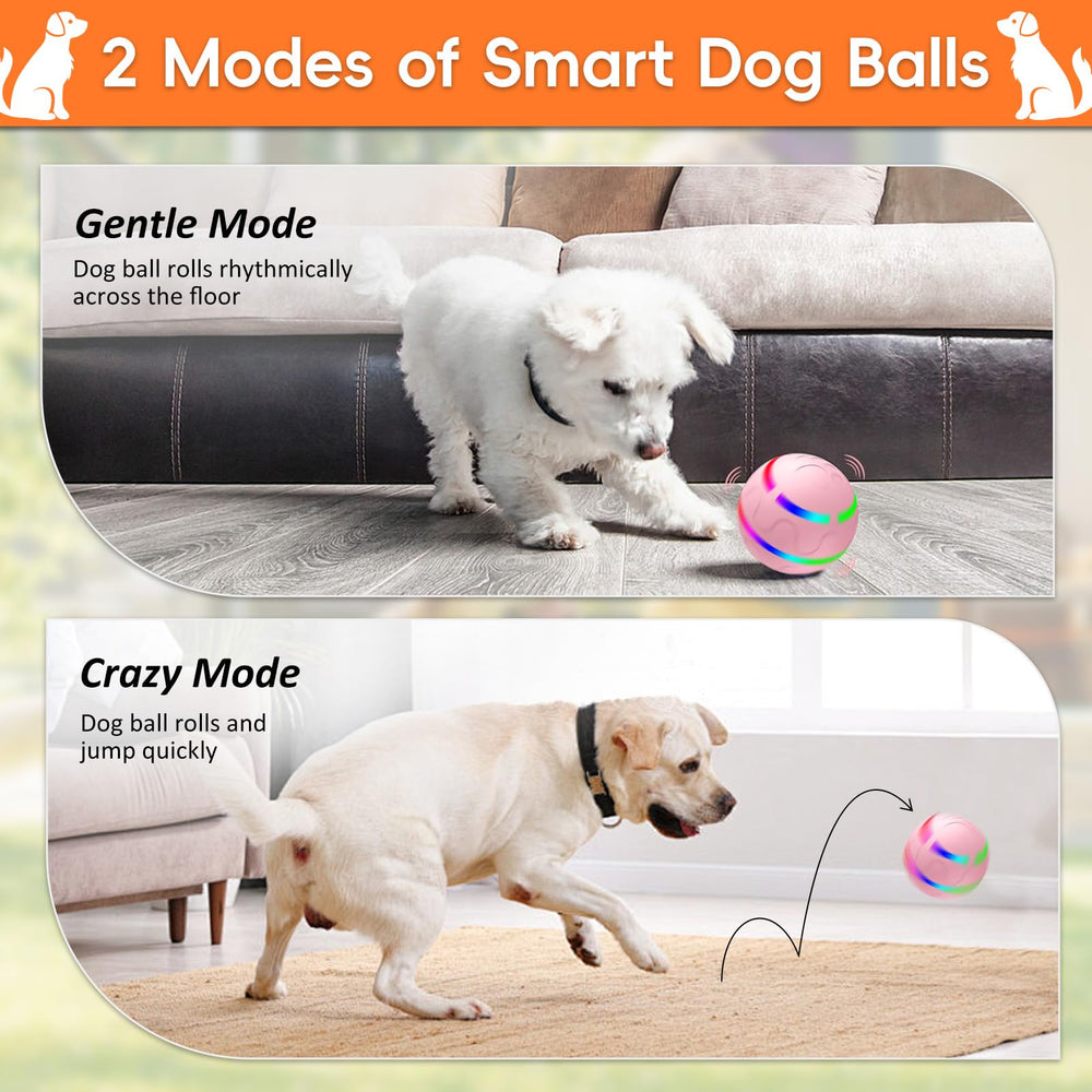 SUJF interactive dog ball USB rechargeable for hours of play
