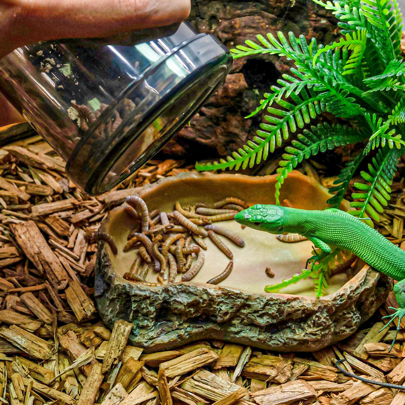 SUKEOPET compact size fits in outdoor reptile bag during travel