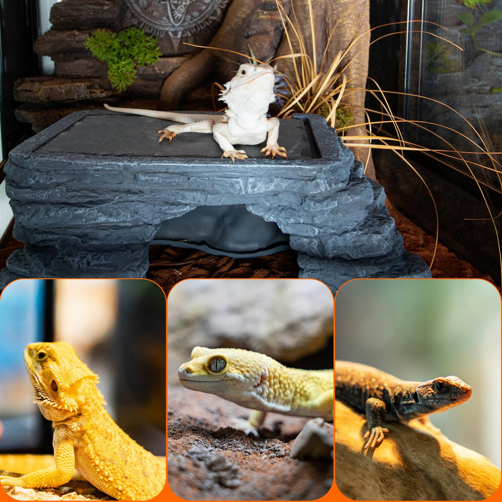 Large reptile climbing rock section of SUKEOPET platform for active reptiles