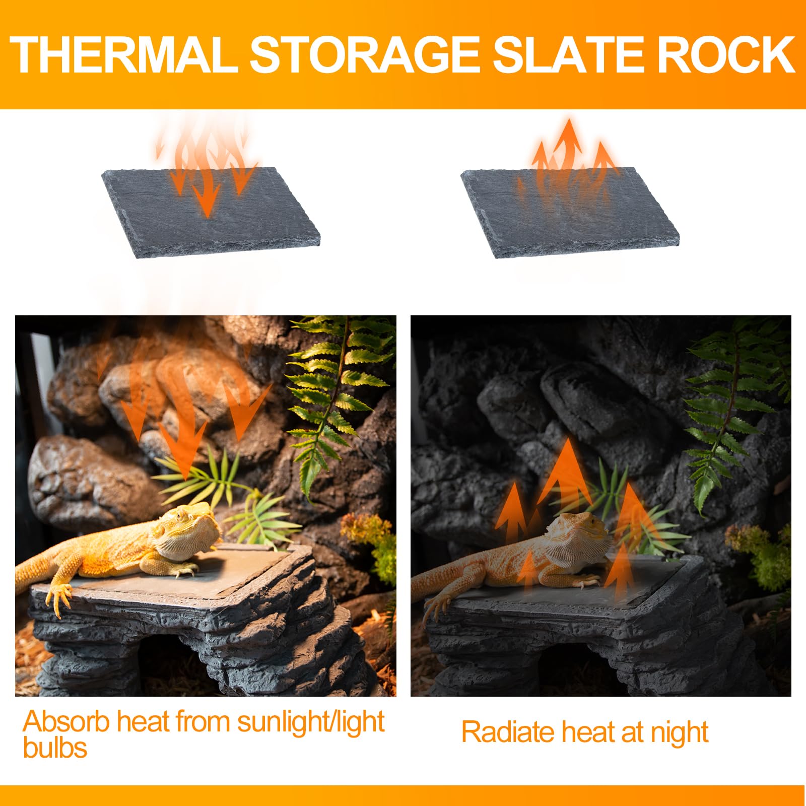 Non-toxic resin and reinforced base ensure safe, durable reptile habitat