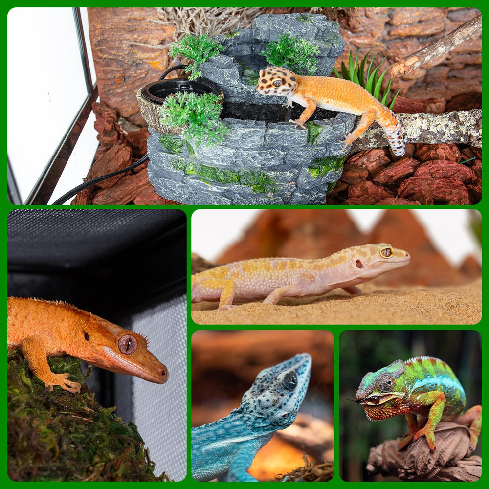 SUKEOPET self-cleaning-circulation reduces maintenance and water changes.