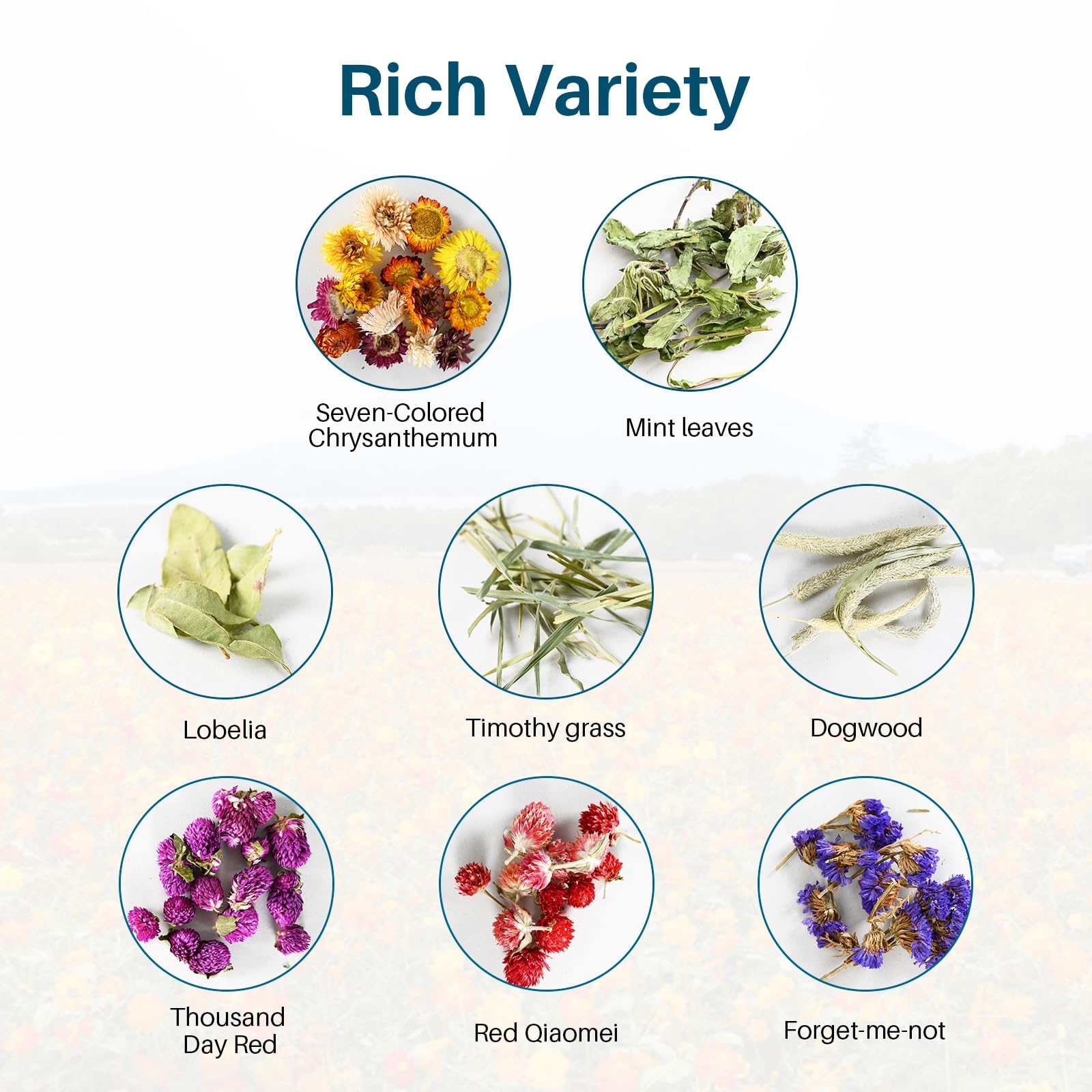 Sukh bedding with colors—enriched habitat for pets.