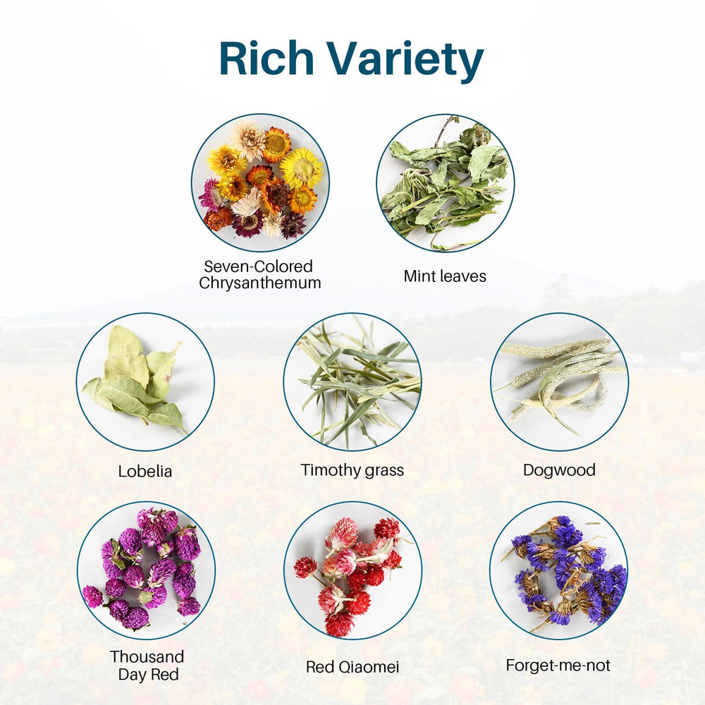 Sukh bedding with colors—enriched habitat for pets.