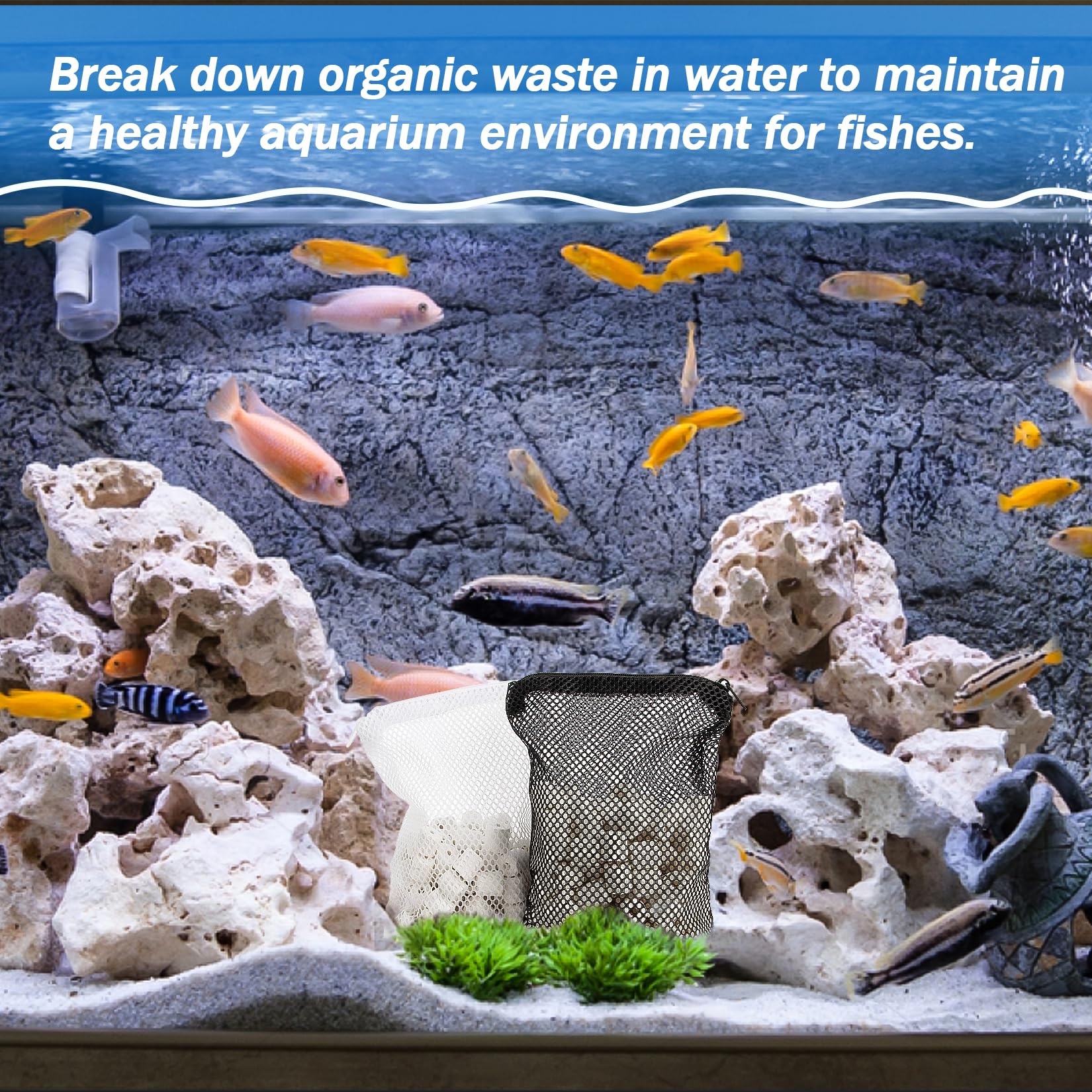 Sukh filtration media supports versatile aquarium setup and steady flow.