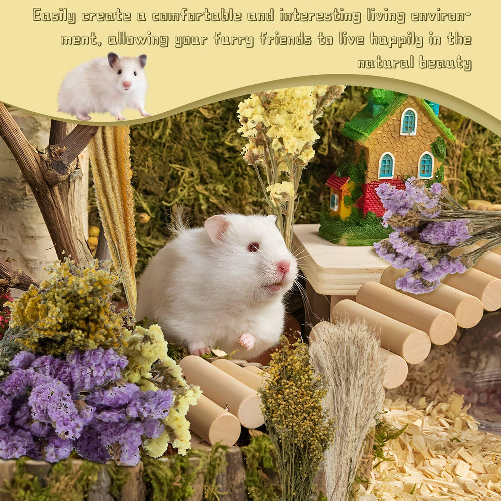 Sukh cage decor natural scene shows meadow-like habitat with vibrant colors.